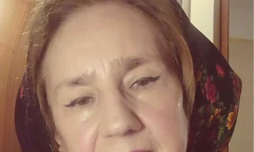 sofia vicoveanca png