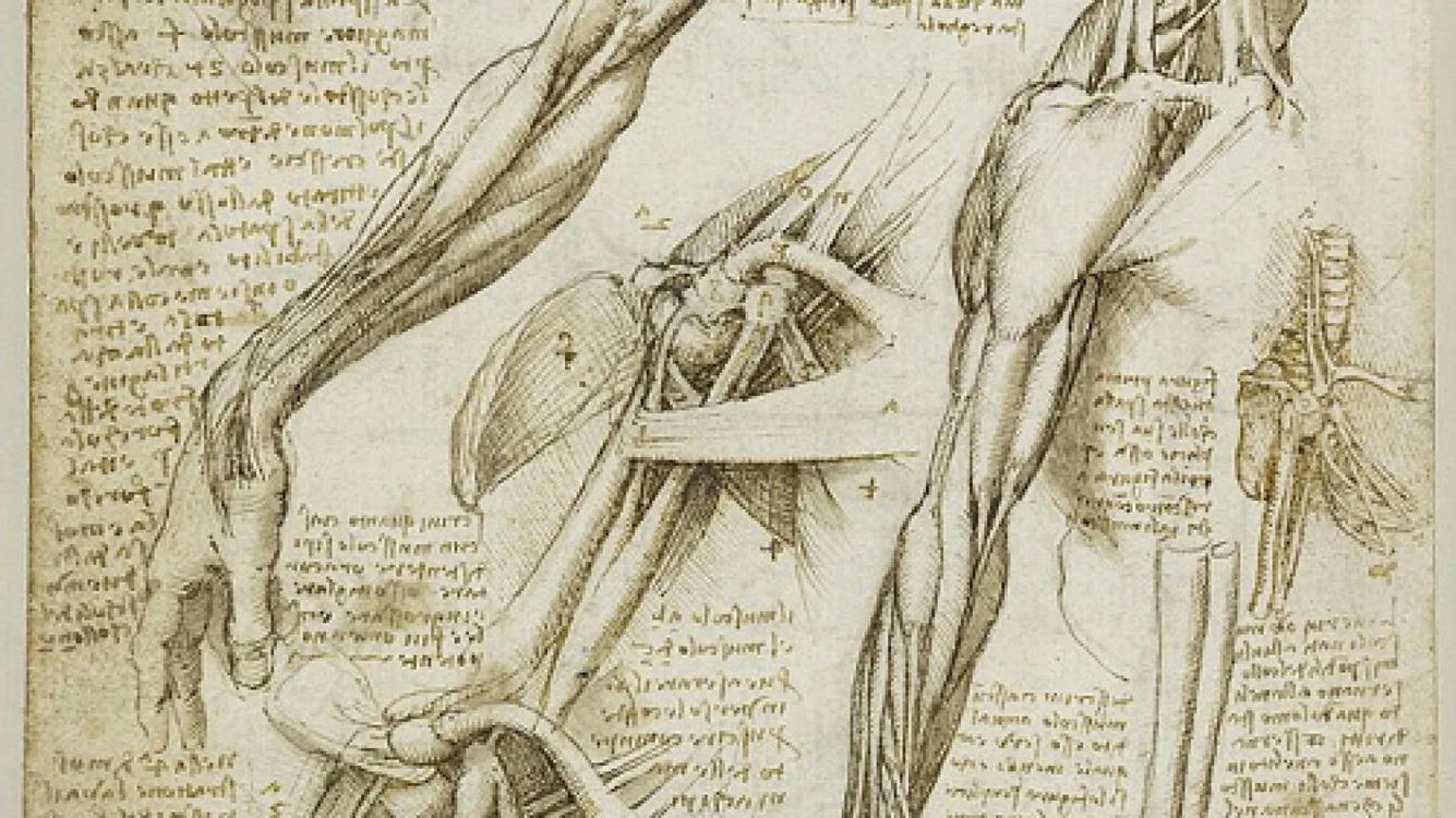 Notițele lui da Vinci.