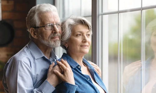 shutterstock 1940409940 jpg