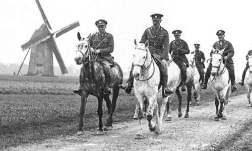 TOP 5 Animale ale războiului: de la cai la licurici jpeg