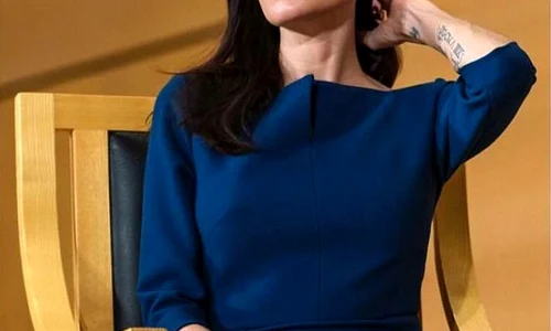 Angelina Jolie profesor png