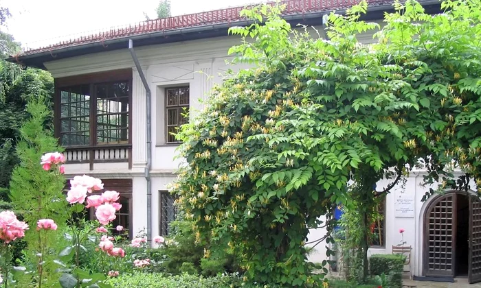 Muzeul Theodor Pallady se redeschide, cu respectarea măsurilor de siguranță împotriva COVID 19 jpeg