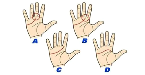 1 63164 original jpg jpeg