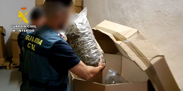 Poliția spaniolă a făcut o captură record de canabis / Foto: guardiacivil.es