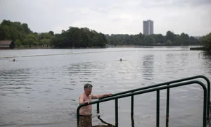 inot in lac jpeg