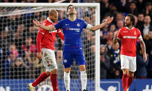 cesc jpeg