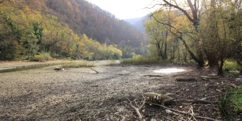 lacul cincis la izvoare