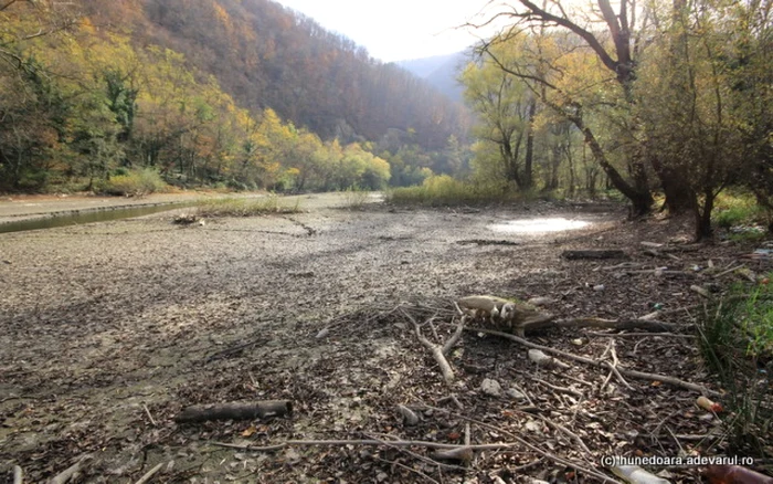 lacul cincis la izvoare