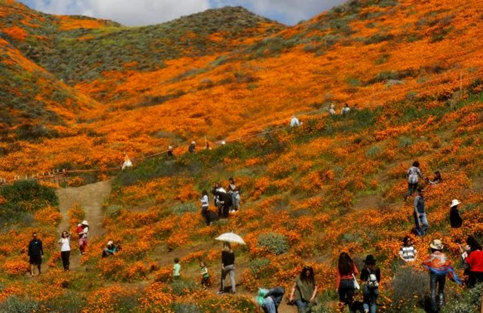 Walker Canyon FOTO GETTY IMAGES