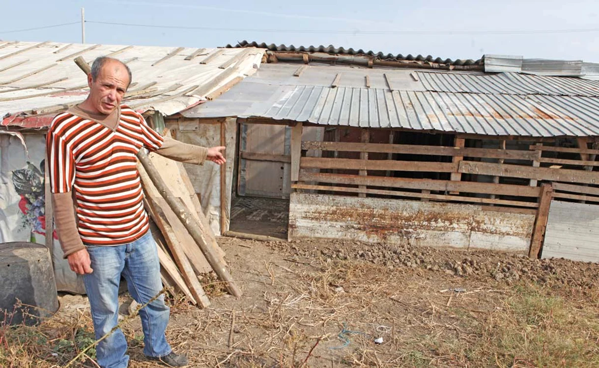 
    Click! l-a vizitat pe Dorel Apostol  la două luni după descoperirea  pestei porcine în ferma lui  