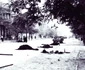 historia ro undefined jpeg