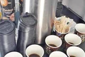 7 baza aparate cafea jpeg