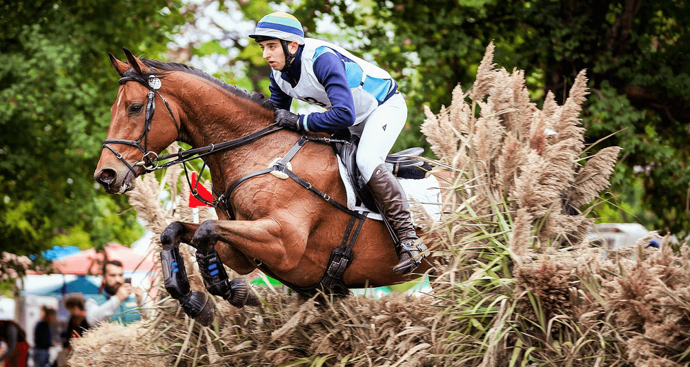 Karpatia Horse Show revine în 2022! Sport-entertainment-show-emoții, adrenalină!