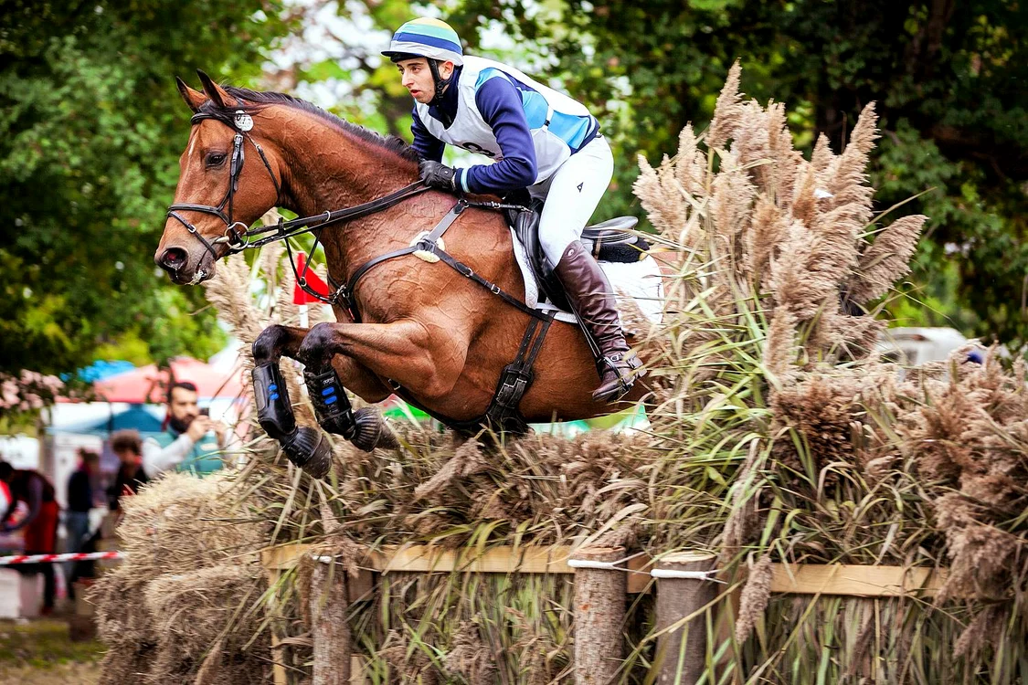 Karpatia Horse Show. Sursa foto: advertorial