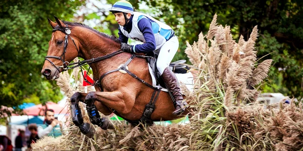 Karpatia Horse Show. Sursa foto: advertorial