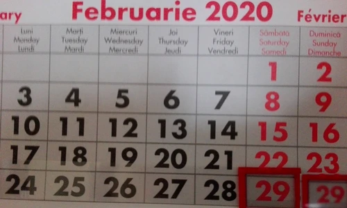 1 an bisect jpg jpeg