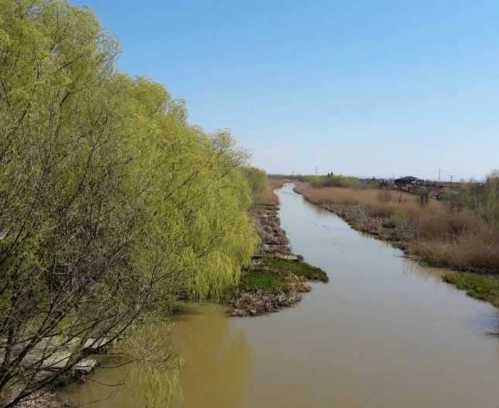 Fantasticul canal Bega în amonte