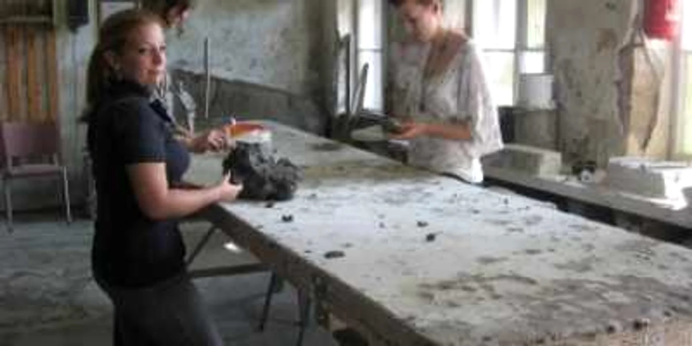 Târgu-Mureş: Artă între pereţi cu igrasie şi mucegai