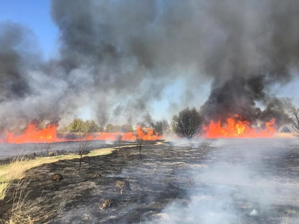 Incendiu violent în Delta Văcărești. Foto: Foto: ISU Bucuresti-Ilfov