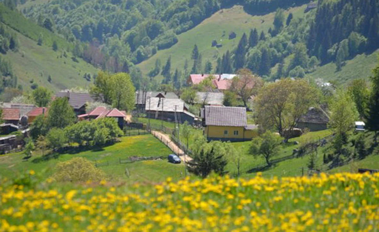 
    În acest weekend, în zona montană va fi o vreme superbă, tocmai bună pentru drumeții și plimbărifoto: Click!  