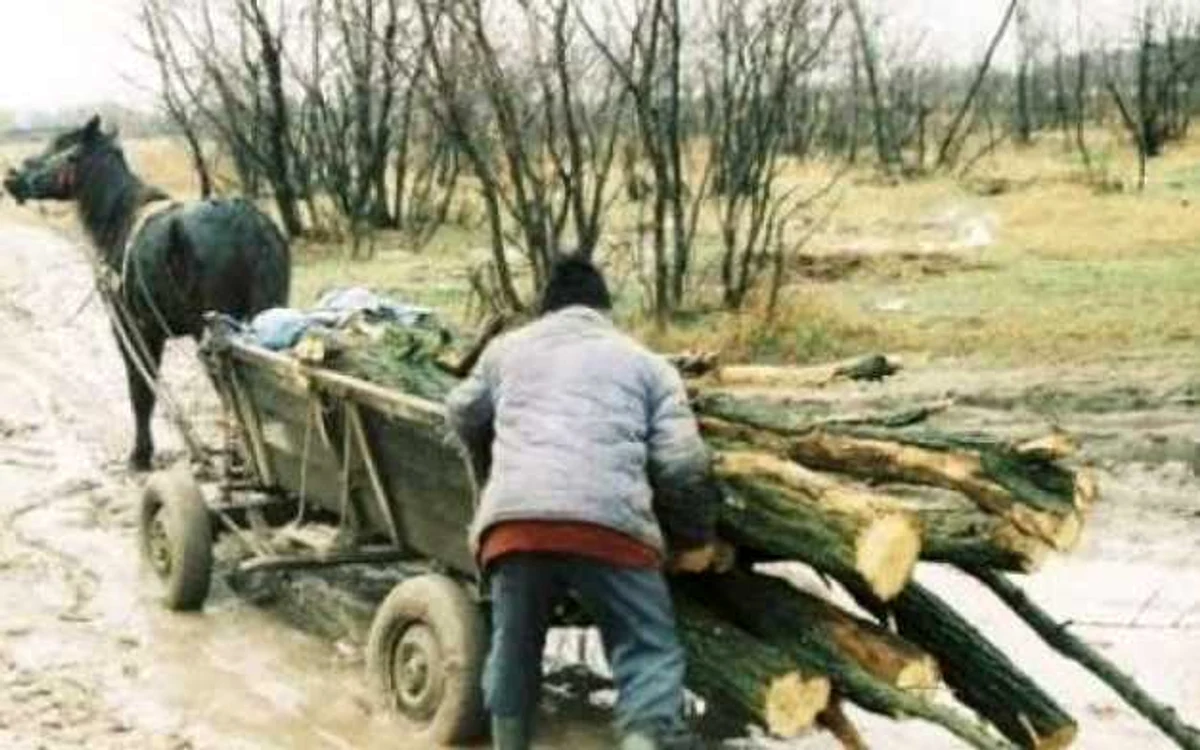 Foto: arhivă Adevărul