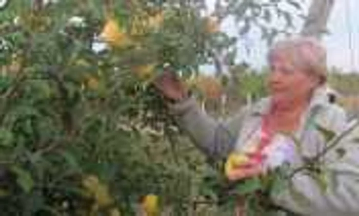 Silvia Andoni este cunoscută în sat drept cea mai de succes femeie de afaceri