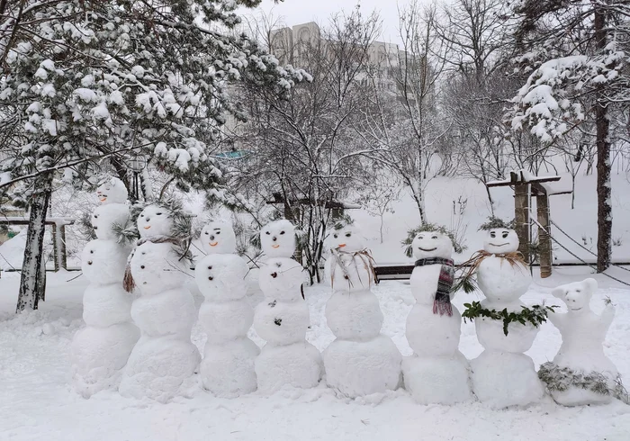 Zăpadă. Foto: arhiva.