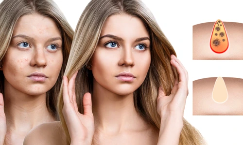 1 shutterstock 1240408564 jpg jpeg