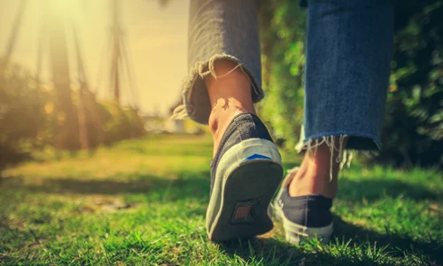 shutterstock 550884346 jpg