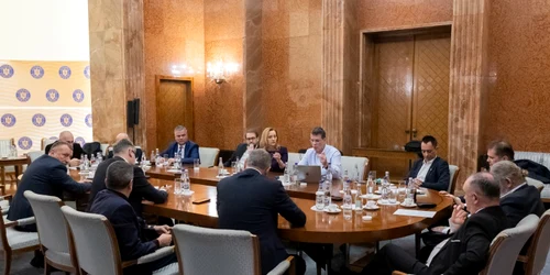 negocieri guvern FOTO PNL jpg
