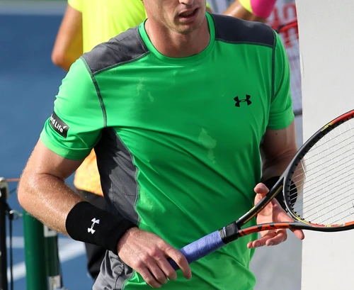 Andy Murray jpeg