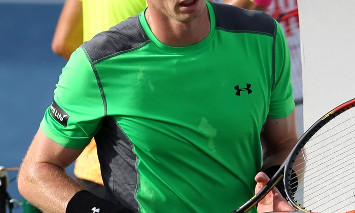 Andy Murray jpeg