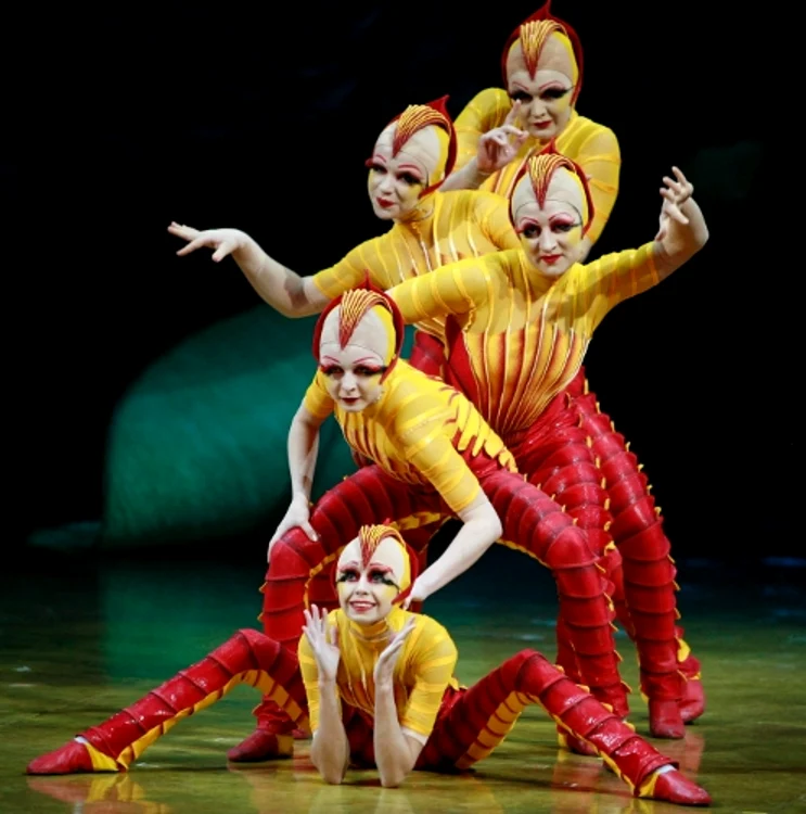 
    Cirq du Soleil  
