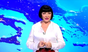 neti sandu
