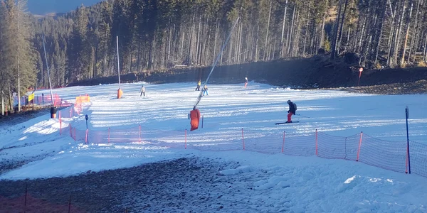 Pârtiile cu zăpadă artificială de la Transalpina Ski Voineasa din Vâlcea Foto Domeniul schiabil Transalpina jpg