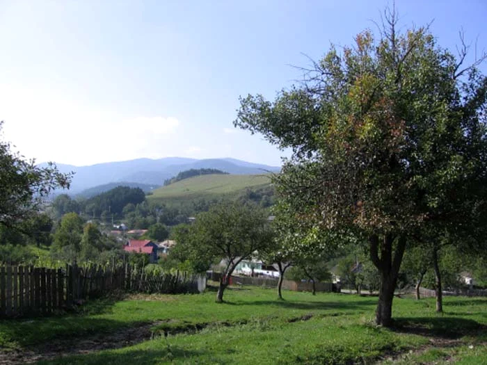 Cele mai frumoase locuri din Vrancea: Staţiunea Soveja are cel mai curat aer din România