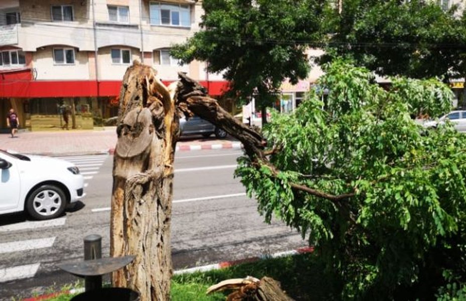 Cod portocaliu de vânt, primele pagube în București UPDATE