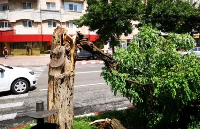 Vântul face ravagii în București. Sursa foto: arhivă