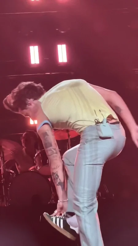 Harry Styles în concert la Perth