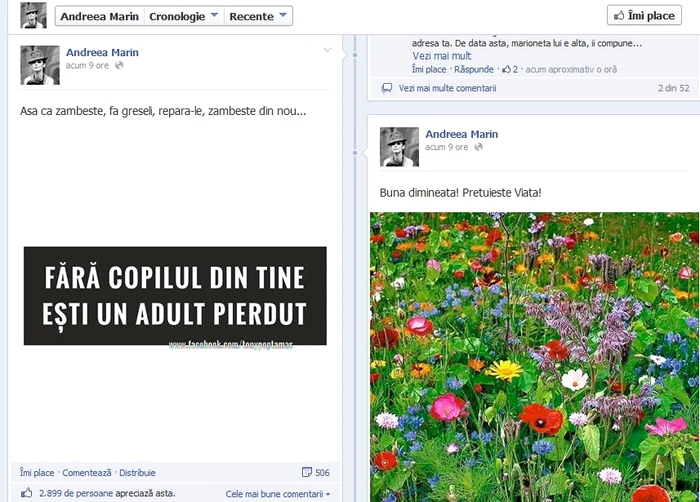 Andreea Marin (foto: facebook)