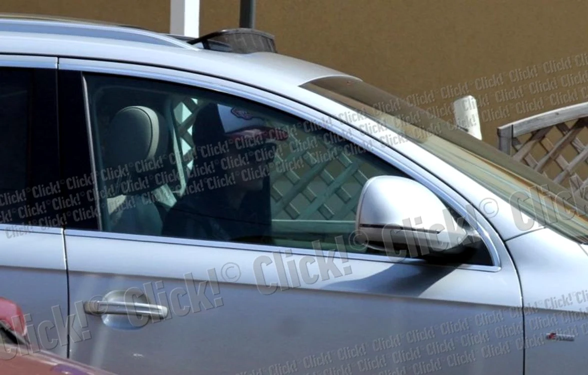 Adelina Pestritu parcheaza pe unde apuca
