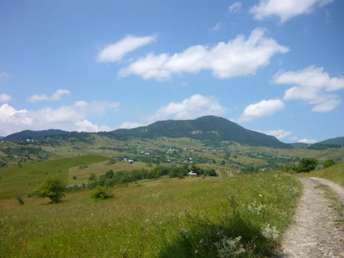 Tânărul a dispărut în zona Vintileasca