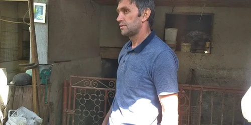 Locuitor al cartierului Pâclişa din Alba Iulia despre ursul care i-a ”vizitat” gospodăria