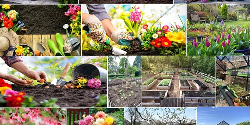 Pași esențiali de urmat la început de primăvară pentru un colț verde spectaculos Colaj DMS