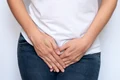 1 shutterstock 1587789886 jpg jpeg