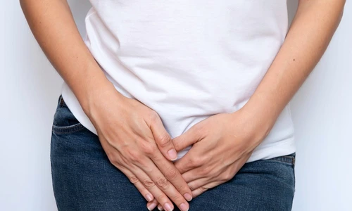 1 shutterstock 1587789886 jpg jpeg