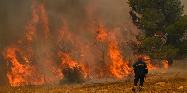 Incendii in Grecia FOTO Profimedia (1) jpg
