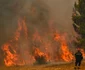 Incendii masive de vegetație în Grecia FOTO Profimedia