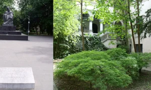 parcul ic bratianu colaj facebook jpg