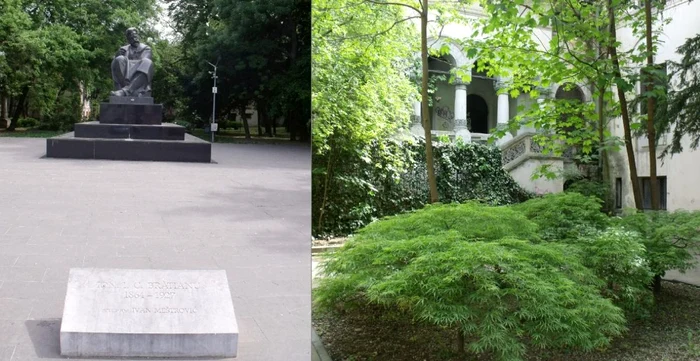 Primăria Sectorului 1 vrea să reabiliteze Parcul IC Brătianu / foto: colaj Facebook